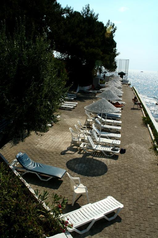 Kismet Kusadası